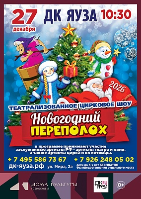 Театрально-цирковое шоу «НОВОГОДНИЙ ПЕРЕПОЛОХ»